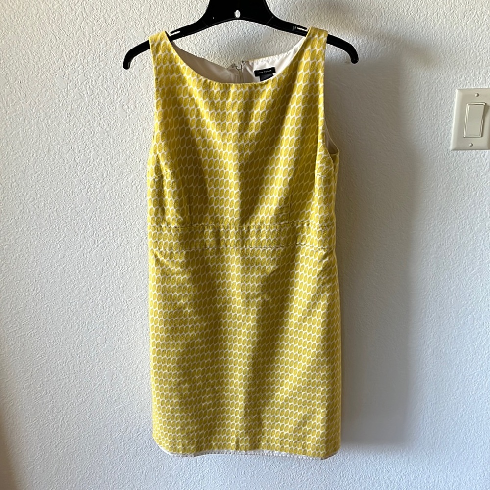 Ann Taylor Dress